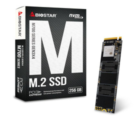 SSD Biostar M700 M.2 NVMe PCI-E x4 Gen3 256GB BOX